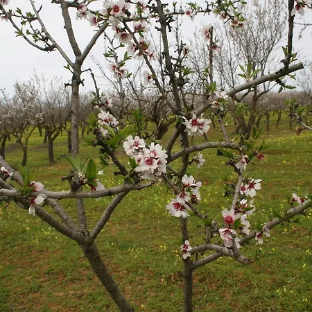 Bauernhof Agriturismo Il Mandorleto Pergusa