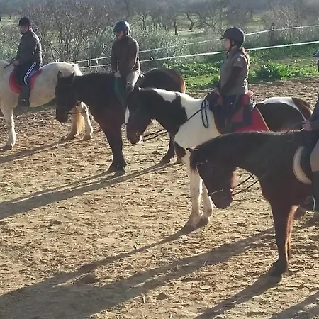 Bauernhof Agriturismo Il Mandorleto Pergusa